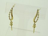 K18YG DIA EARRING