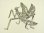 XBKC51174.jpg
