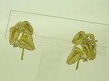 Photo: K18YG DIA EARRING